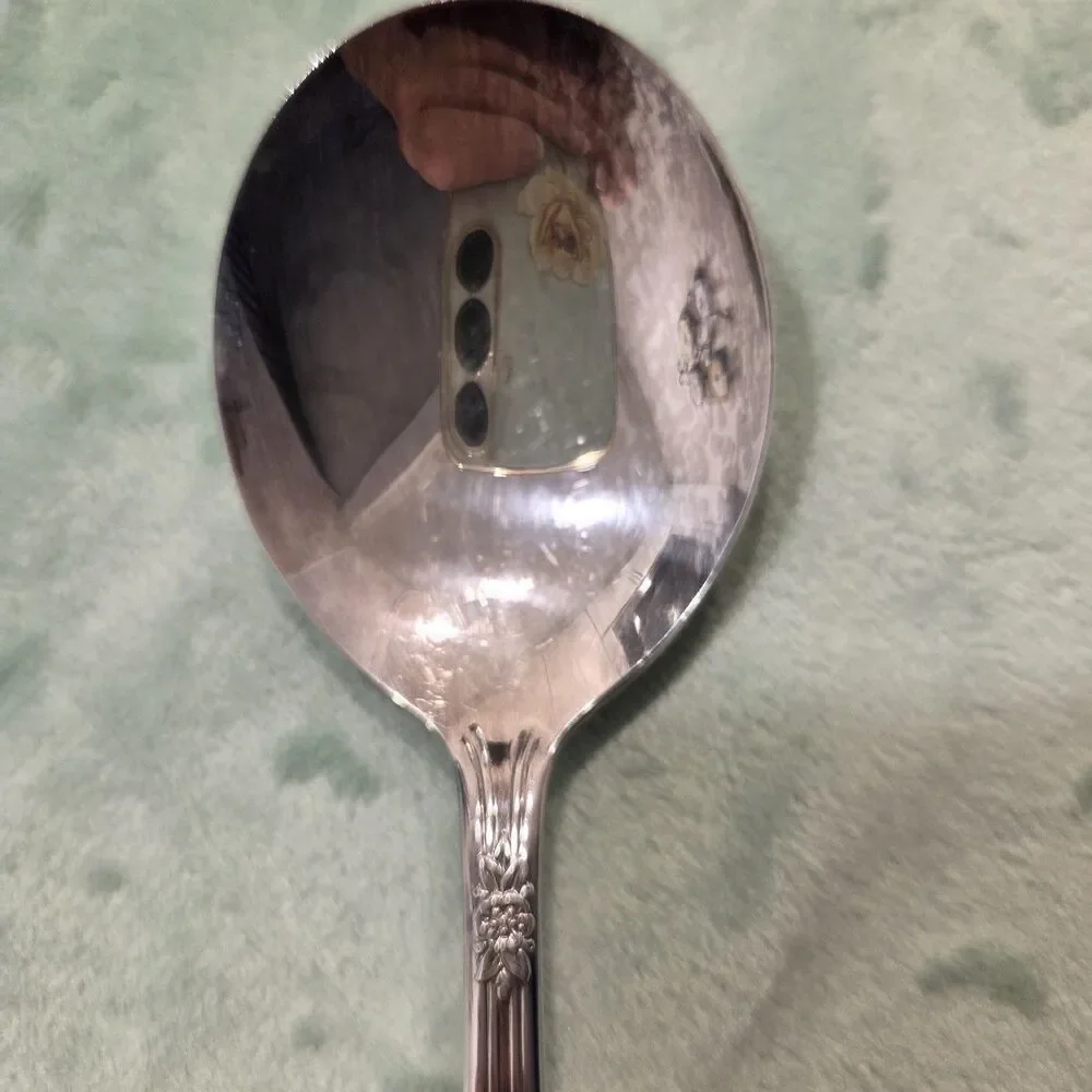 Wm Rogers lot soup